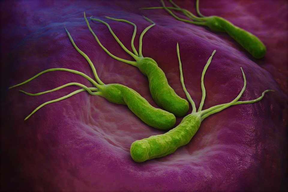 You are currently viewing Helicobacter pylori infection: Whom should we test, who should we treat?
