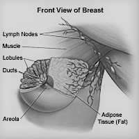 Read more about the article Breast abscess among lactating women has a predilection for left breasts: Why?