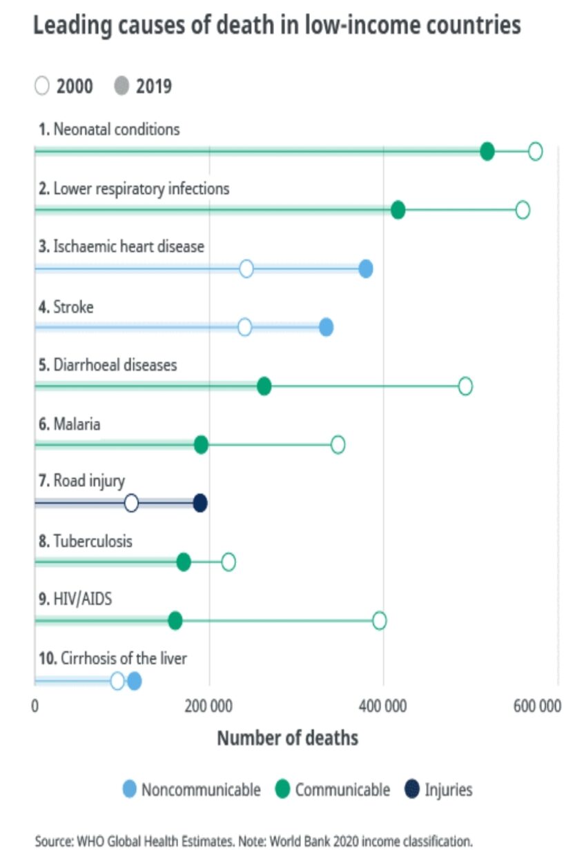 You are currently viewing Top Ten Causes of Death in Low-Income Countries.