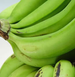 Read more about the article Boiled bananas (matooke) are suitable for people with chronic kidney disease. Why?