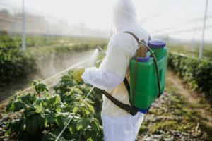 Read more about the article Carbamates Insecticides and You.