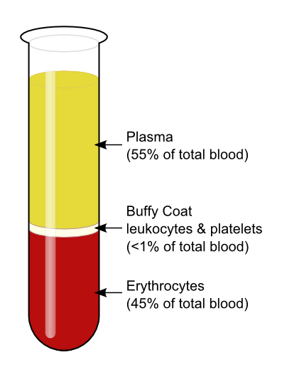 You are currently viewing CHAPTER THREE: BLOOD AND BLOOD PRESSURE: what constitutes blood?
