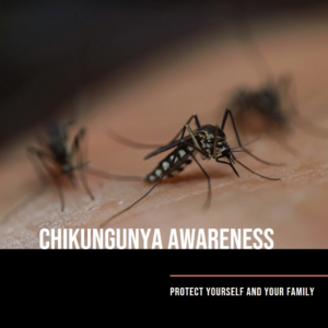 Read more about the article Chikungunya: A Mosquito-Borne Disease on the Rise