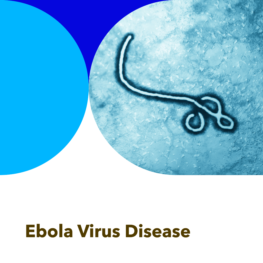 Read more about the article Ebola Virus Disease: Understanding the Deadly Outbreak